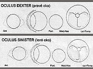 Dědičné oční vady
